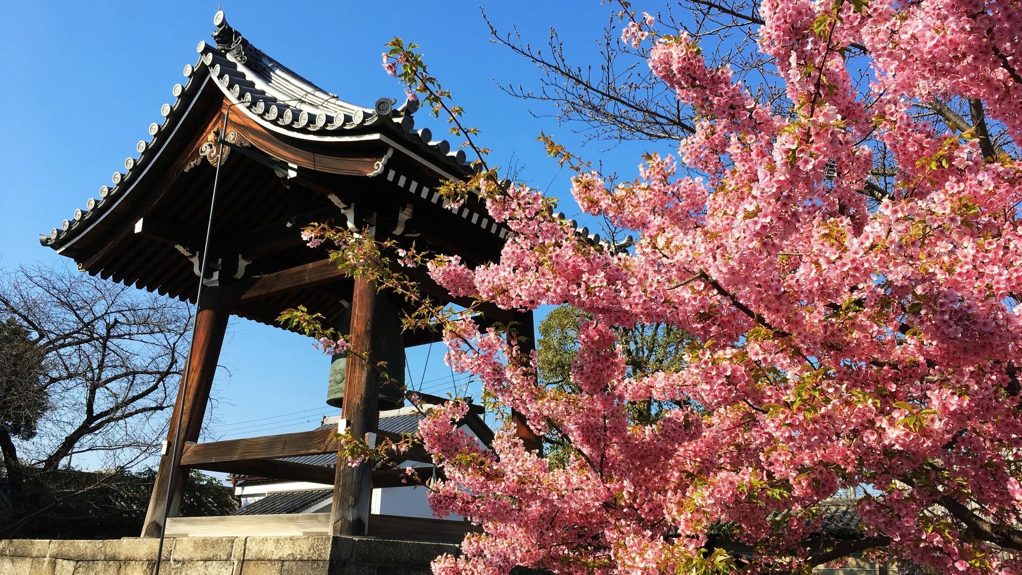 Sakura Toji South I Holiday home *
